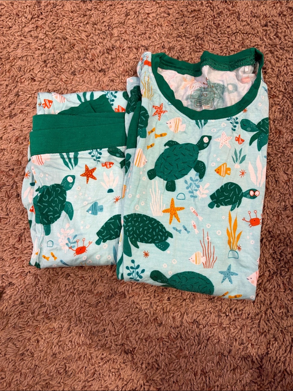 Little Sleepies Kids Sea Turtle Pajama Set - Long Sleeve Top + Pants